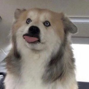 Meet your Posher, Sydney